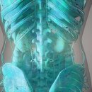 365한의원 이미지