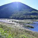 자양보오토캠핑장 이미지