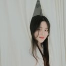 스냅렌탈 네이버블로그
