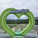 스카이라인 | 부산롯데월드루지 : 스카이라인 탑승후기 주차장