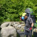 개나리온천 이미지