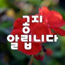 아름다운 60대23주년 이미지