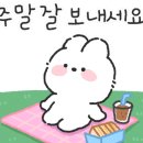 동경규동 이미지