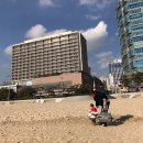 파라다이스호텔 이미지