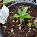 예진농장 이미지