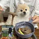 이마트24대전둔산시티점 | 대전인의 대전투어 그리고 하마보러 또 전주 다녀온 일상