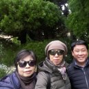 흥도초교 이미지