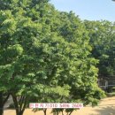 병방공원 이미지