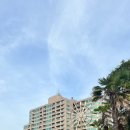 교촌치킨 금호점 | 10만원도 안 되는 가격에 이정도 뷰? 금호 통영 마리나 리조트 후기