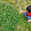 철원농장 | 철원 늘푸른 체험농장 2박3일 2일차아이를 위한 하루, 캠핑 감성 가득한 행복한 시간