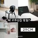 이십구(29) 네이버블로그