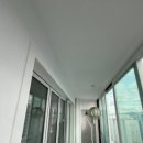 국화한신 이미지