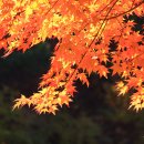 10월 추천촬영지- 무주 적상산의 붉은 단풍 이미지