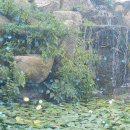 정읍사 문화공원 이미지