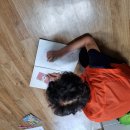 🌼인지활동(컬러링북색칠하기) 이미지