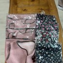 줄라이 밀양 이미지
