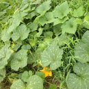 희망찬농장 이미지