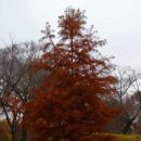 호수정감 이미지