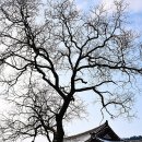 쌓여온 소리 이미지