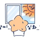 키튼드림센터수영장 이미지