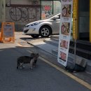 고기먹자 - 서산시 명지1로 230-3 | 고기먹자