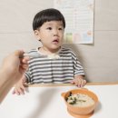아기 초기 이유식 알러지테스트 땅콩 밀가루 스푼타임 스타트킷 후기