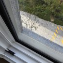 미추홀퍼스트3단지아파트 | 고양시 일산동구 풍동 더샵일산퍼스트월드3단지 27평 아파트 신축 입주청소 후기