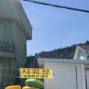 플로리다 대탄 이미지