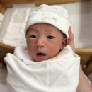 네이처멘션 | 더네이처산후조리원 디럭스 9박10일 후기(2)