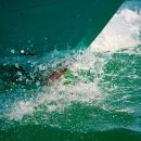 판교스포츠센터 이미지