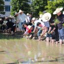 울산광역시시청 이미지