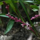 길상초등학교 이미지