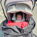 행운휴게실 | 서울랜드 벚꽃명소 플라워즈 페스티벌 플라워캠프 팝업 꽃등 페이스페인팅 내돈내산 솔직후기