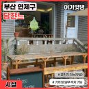 담잔느 이미지