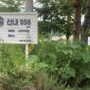 산내956 이미지
