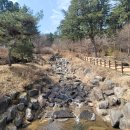 향기마트 이미지