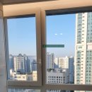한덕주상복합아파트 | 경시도 화성시 동탄 쌍용 플래티넘(주상복합) 47평 아파트 유리창 청소 - 후기 -