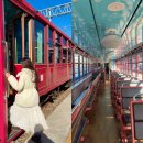 백두사 | 백두대간협곡열차 겨울노선 예매 후기 이 풍경을 기차에서 본다고…?