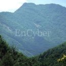 명지산 패밀리 펜션 이미지