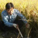 한드미마을 이미지