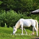 옥화자연휴양림 이미지