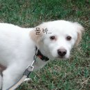 없음 이미지