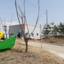 둔포농협 산지유통센터 이미지