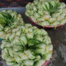 명품보쌈 이미지