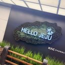 해 호텔 | 제주도 여행 롯데호텔 제주/롯데호텔 제주 라세느 석식/롯데호텔 해온 수영장 후기