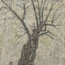 수하콜렉션