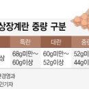 (주)해밀유통