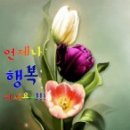 나는꽃 - 강남구 | 나는꽃