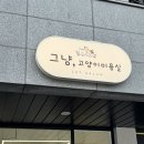 고양이 미용실 | 양주 옥정에 위치한 고양이 미용실 그냥 방문 후기
