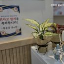 김보영폴리어수학학원